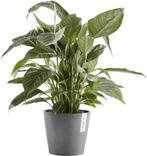 NIEUW - Amsterdam bloempot Grey Ø 50 cm, Tuin en Terras, Bloempotten, Verzenden, Nieuw