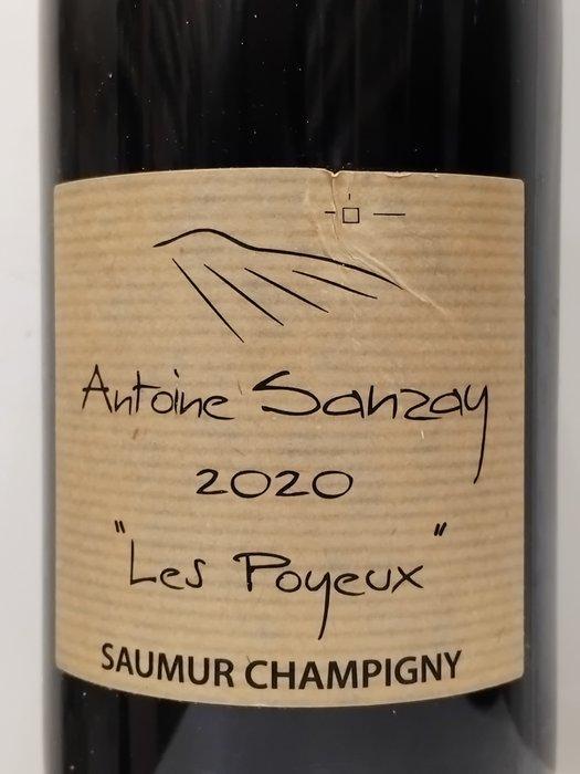 2020 Antoine Sanzay Les Poyeux - Saumur-Champigny - 3, Verzamelen, Wijnen