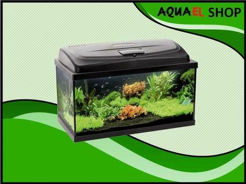 Classic box 60 recht aquarium, Animaux & Accessoires, Poissons | Aquariums & Accessoires, Envoi