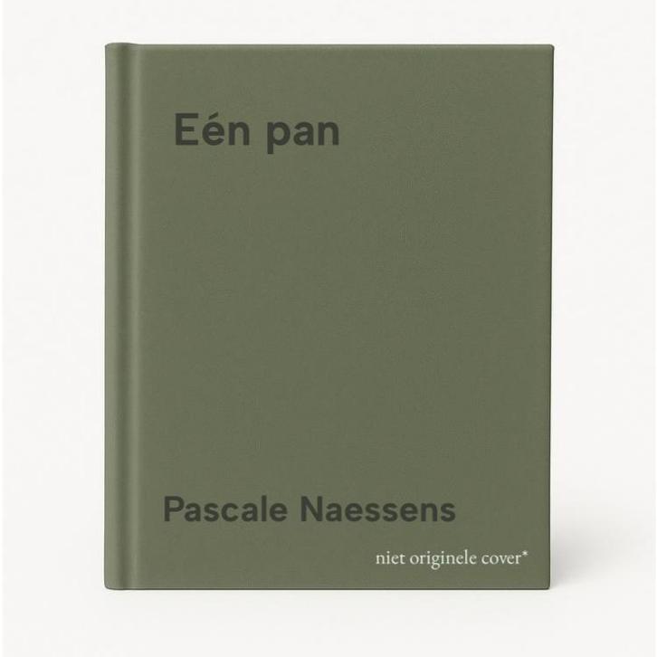 Eén pan 9789020981612 Pascale Naessens, Livres, Livres de cuisine, Envoi