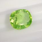 Paraiba toermalijn - 4.73 ct - Asian Institute of, Nieuw