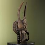 Afrikaans Masker Firespitter Mask, Verzamelen, Dierenverzamelingen, Ophalen of Verzenden, Nieuw, Wild dier, Opgezet dier