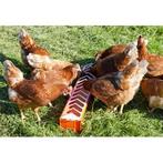 Voedertrog voor kippen kunststof 75 x 12 cm - kerbl, Dieren en Toebehoren, Nieuw