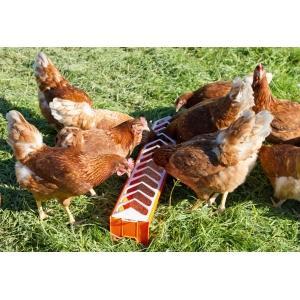 Voedertrog voor kippen kunststof 75 x 12 cm - kerbl, Animaux & Accessoires, Volatiles | Accessoires