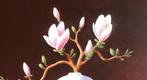Ruud Verkerk - Chinees porselein met Magnoliatak.