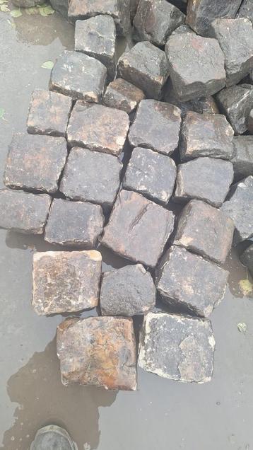 Kasseien vossekoppen beschikbaar voor biedingen