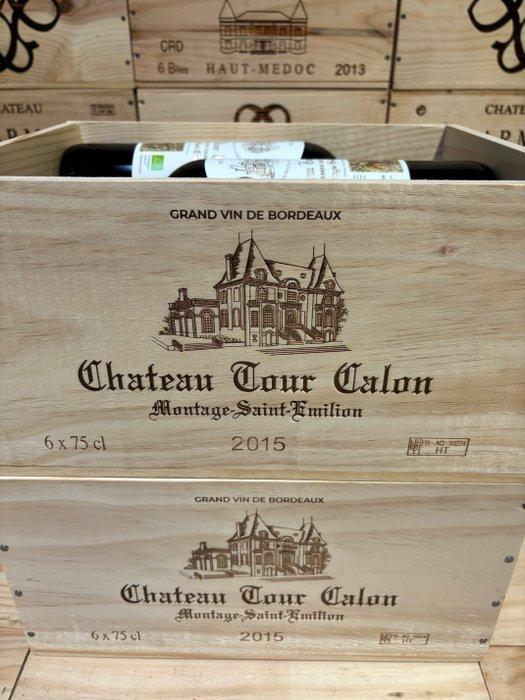 2015 Château Tour Calon , 1er des Tours. - Saint-Émilion -, Collections, Vins