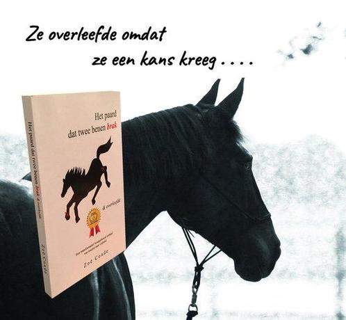 Het paard dat twee benen brak 9789082614527, Livres, Loisirs & Temps libre, Envoi