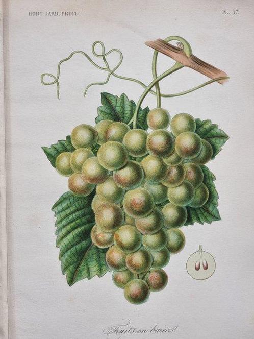 Hérincq, François (1820/ 1891) - Frédéric, Gérard (1806/, Antiek en Kunst, Antiek | Boeken en Manuscripten