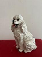 Sculpture, Barboncino - 30 cm - Céramique, Antiquités & Art