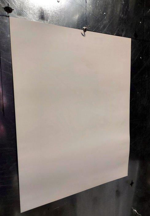 Ph. Bonnard - Festival du Cinema Americain - Deauville -, Antiek en Kunst, Kunst | Tekeningen en Fotografie