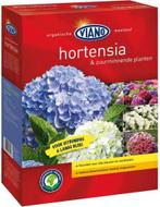 NIEUW - Viano Hortensia 4 kg, Tuin en Terras, Verzenden