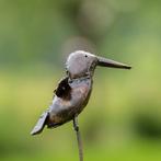 Figure - Twee ijsvogels op een metalen staaf (2) - Métal