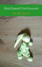Beschaamd vertrouwen 9789402139914 Ria Dinnissen, Verzenden, Gelezen, Ria Dinnissen