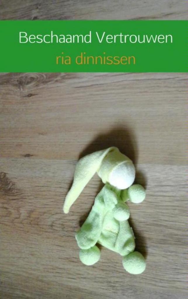 Beschaamd vertrouwen 9789402139914 Ria Dinnissen, Boeken, Thrillers, Gelezen, Verzenden