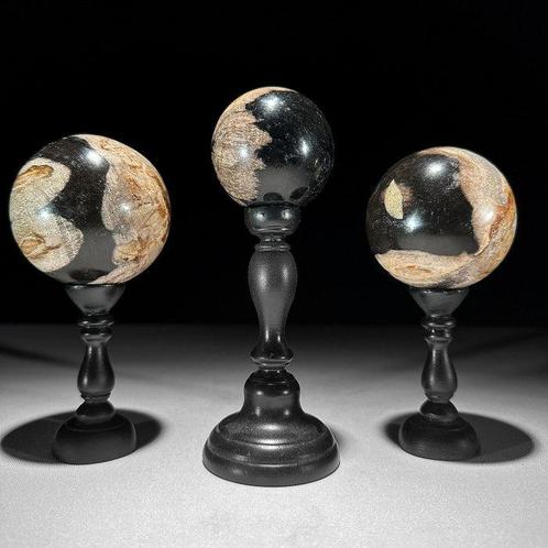 Prachtige set van 3 versteende houten bollen op aangepaste, Antiek en Kunst, Kunst | Designobjecten