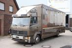 Veiling: Paardenvrachtwagen Mercedes-Benz 817 Diesel (Marge)