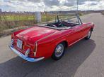 Fiat - 1500 Spider - 1965