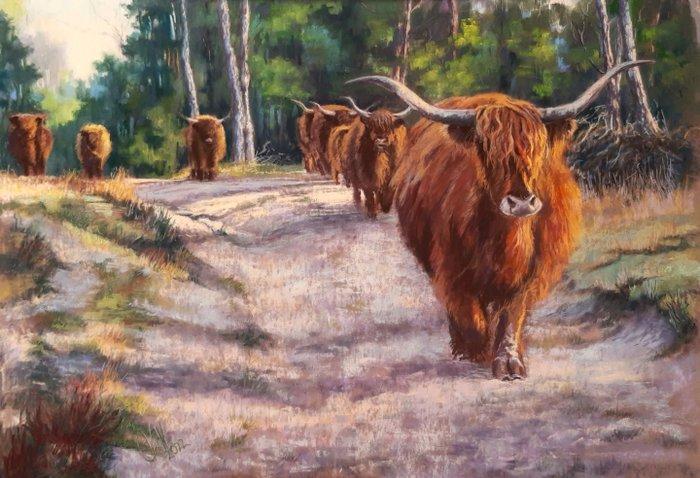 Esther Visser Pastel Art - Original Pastel - Highland Cattle, Antiek en Kunst, Kunst | Schilderijen | Modern