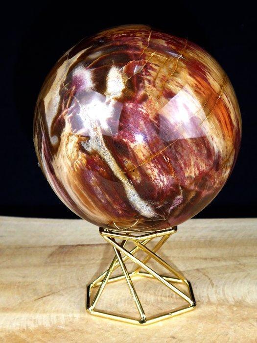 Geen minimumprijs / Bal Versteend Hout / ..... incl., Verzamelen, Mineralen en Fossielen