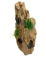 Dragon stone decoratiesteen 22cm OS-137 - aquarium decoratie, Ophalen of Verzenden, Nieuw, Sierelement