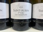 2022 Domaine André Moingeon et Fils Champlots -, Nieuw