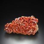 98g wonderlijke Vanadinite-kristallen op matrix van, Verzamelen, Mineralen en Fossielen