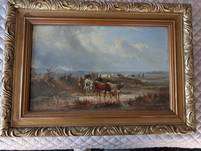 A.J. van Prooijen (1834-1898) - Koeien en herders op de, Antiek en Kunst, Kunst | Schilderijen | Klassiek