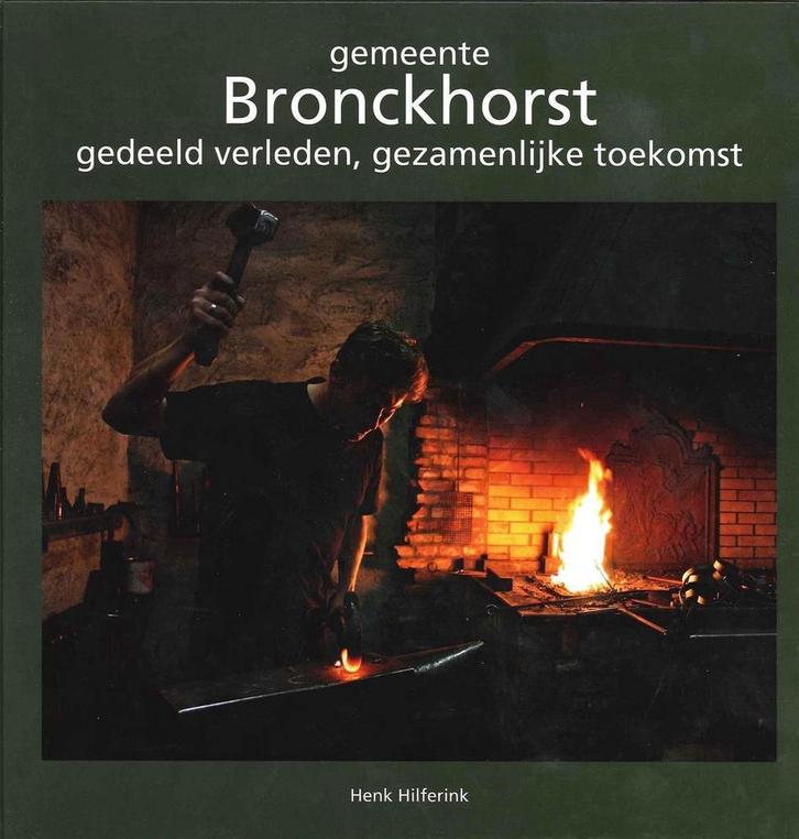 gemeente Bronckhorst 9789073667884 H. Hilferink, Boeken, Geschiedenis | Wereld, Gelezen, Verzenden