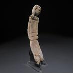 Colima, West-Mexico shel Hangerfiguur. 200 v.Chr.-200 n.Chr., Verzamelen