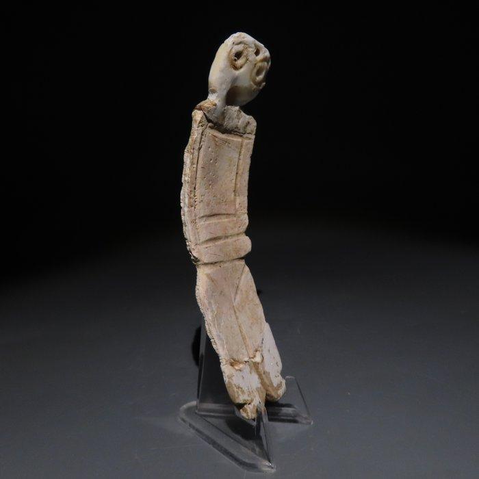 Colima, West-Mexico shel Hangerfiguur. 200 v.Chr.-200 n.Chr., Verzamelen, Mineralen en Fossielen