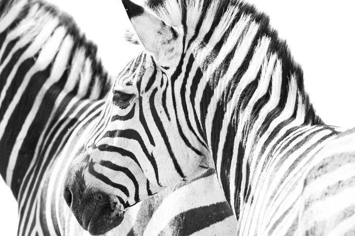 Marco Simoni -  200 Stripes 2.0, Antiek en Kunst, Kunst | Designobjecten