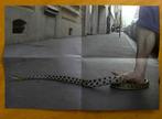 Adel Abdessemed - Galerie Kamel Mennour - Zero Tolerance -
