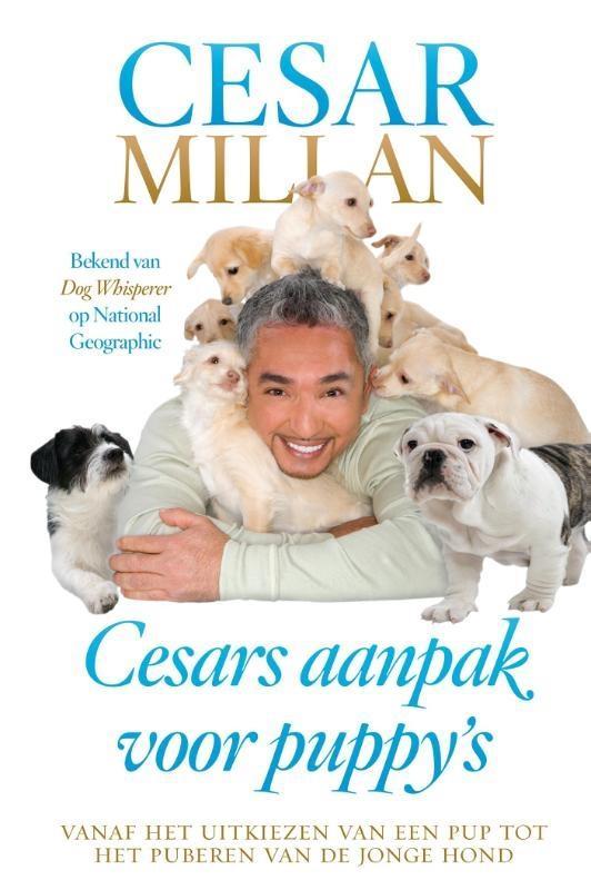 Cesars aanpak voor puppys 9789044334029 Cesar Millan, Livres, Loisirs & Temps libre, Envoi