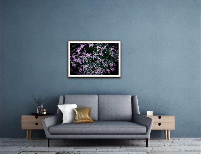 Viet Ha Tran - Night melody - XL, Antiek en Kunst, Kunst | Designobjecten