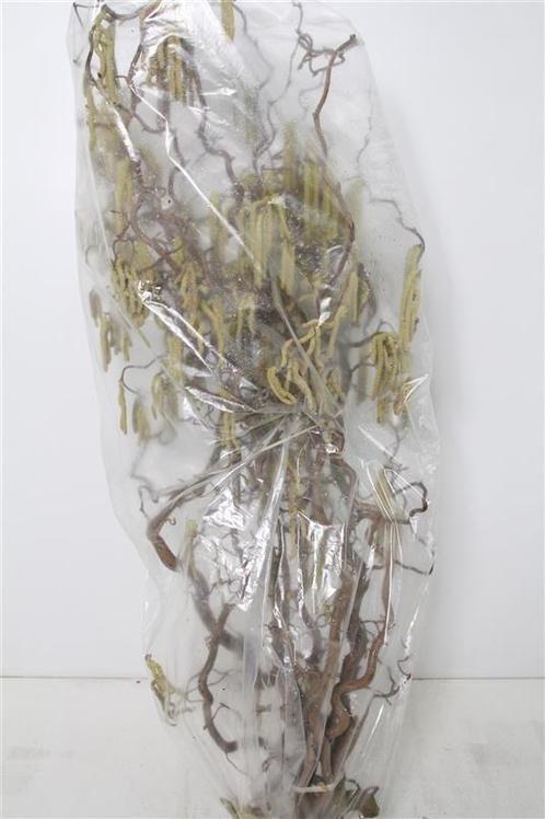 Kronkelhazelaar corylus av contorta 3 jarig +/- 120-129 cm, Maison & Meubles, Accessoires pour la Maison | Plantes & Fleurs artificielles