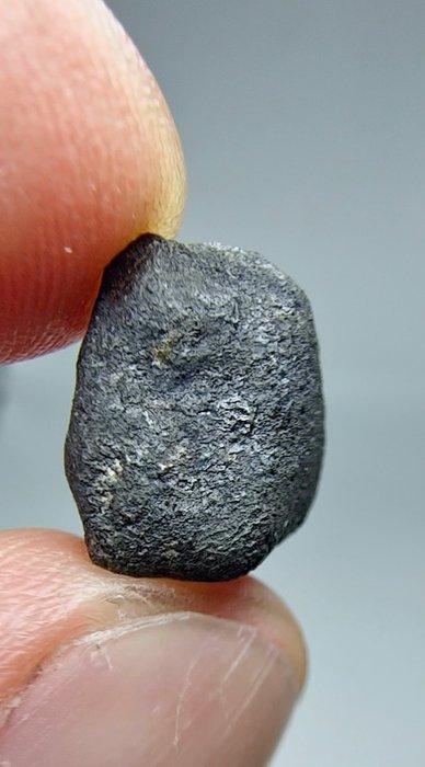 Météorite : El Menia L5, chute observée en 2023. Super frais, Verzamelen, Mineralen en Fossielen