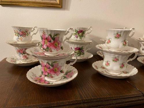 Royal Albert - Ensemble de bols (14) - Glacis, Porcelaine -, Antiek en Kunst, Antiek | Meubels | Tafels