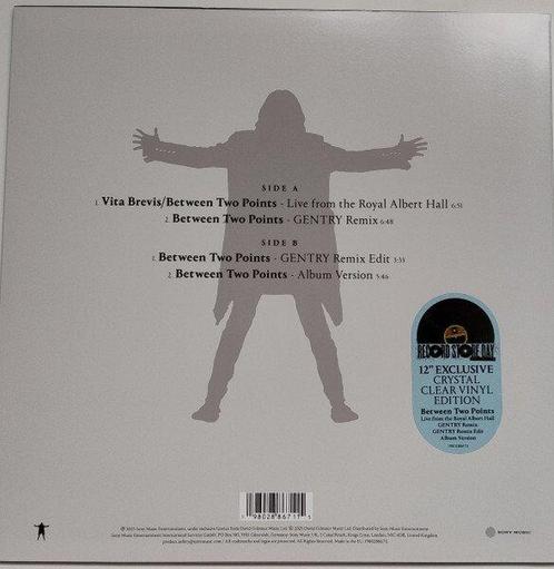 David Gilmour - Between two points 12 esclusive crystal, Cd's en Dvd's, Vinyl Singles