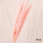Dried pampas fluffy pink soft roze 70 cm corta +/- 15st
