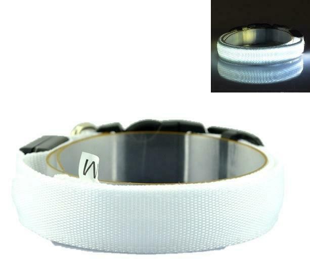 LED Halsband WIT, Dieren en Toebehoren, Honden-accessoires, Verzenden