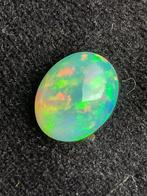 3,35cts Opaal Cabochon- 0.67 g, Collections