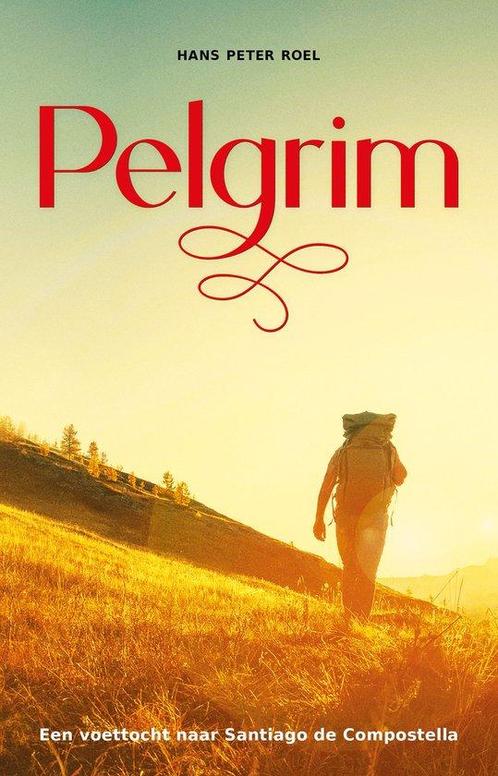 Pelgrim - Hans Peter Roel - 9789079677986 - Paperback, Boeken, Esoterie en Spiritualiteit, Verzenden