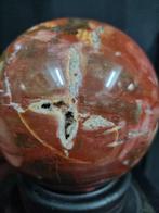 HQ - Big Petrified wood sphere with crystals Vrije vorm -, Verzamelen