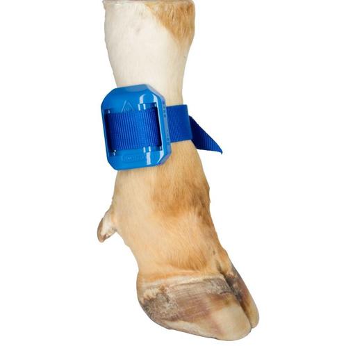 Enkelband voor pedometer - kerbl, Dieren en Toebehoren, Overige Dieren-accessoires, Nieuw