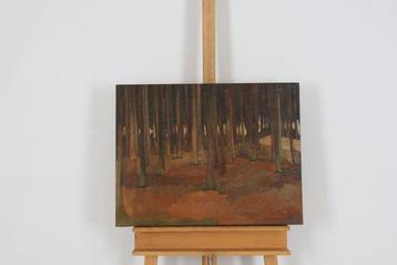 Nicolaas Pieneman (1880-1938) - Bosgezicht