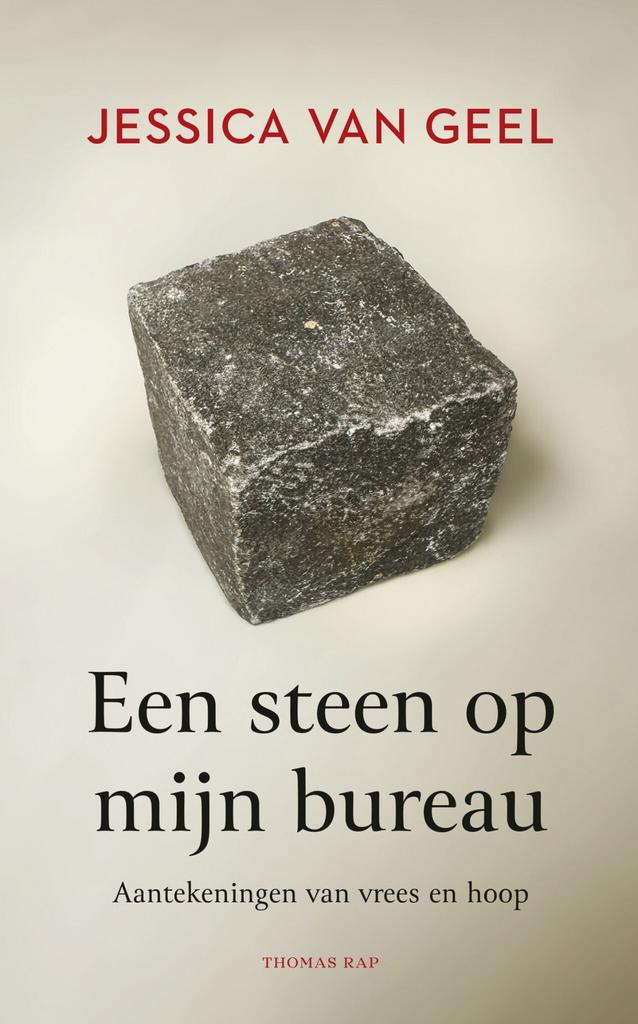 Een steen op mijn bureau (9789400412620, Jessica van Geel), Boeken, Romans, Nieuw, Verzenden