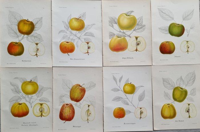 Henriette Sjöberg (1842 / 1915) - Jakob Eriksson (1848 /, Antiquités & Art, Antiquités | Livres & Manuscrits