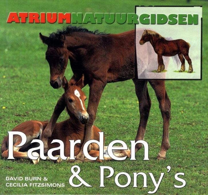 Paarden & PonyS 9789059473287 D. Burn, Livres, Loisirs & Temps libre, Envoi