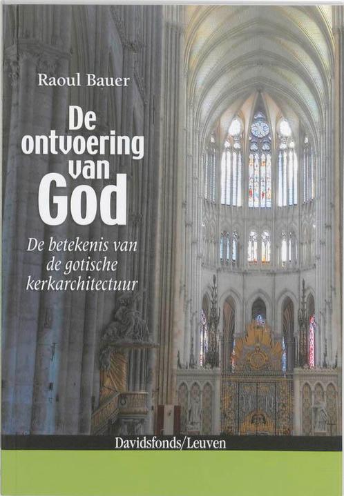De Ontvoering Van God 9789058266569 Raoul Bauer, Boeken, Geschiedenis | Wereld, Zo goed als nieuw, Verzenden